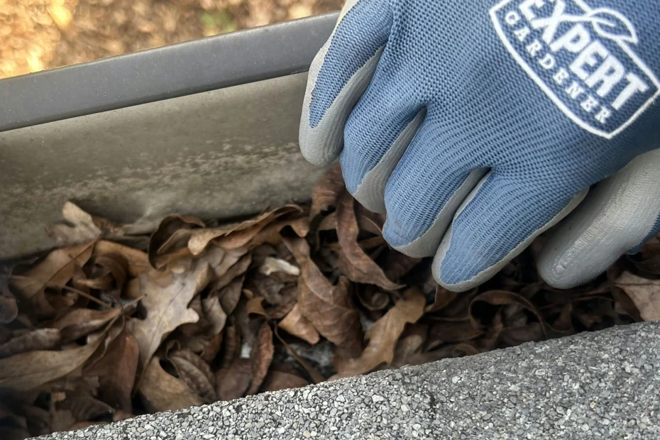 Gutter Cleaning Hendersonville NC